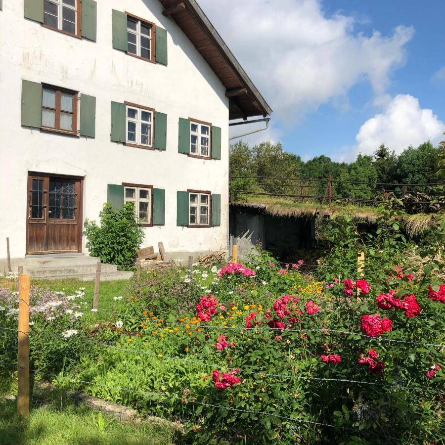 Ferienwohnung Allgaeuliebe In Oy-Mittelberg Exterior foto